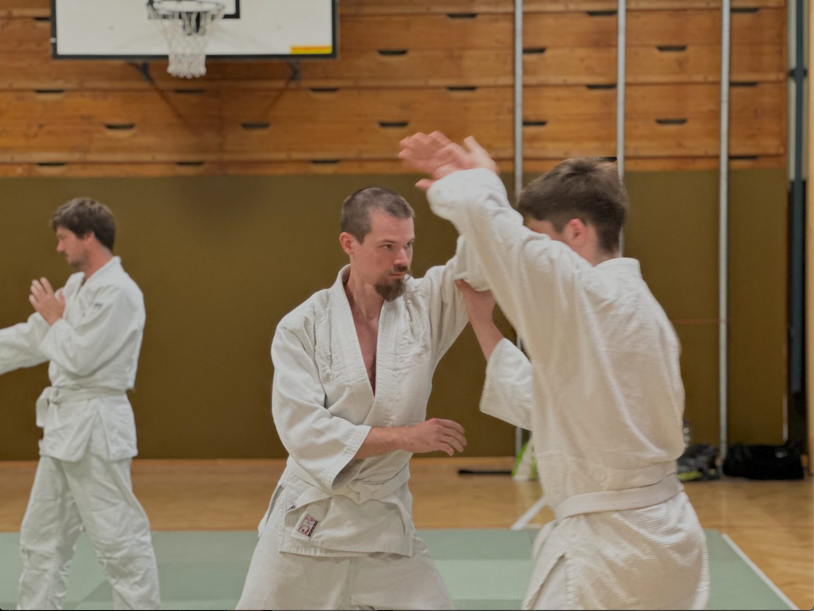 Gemeinsames Aikido-Training im Dojo Vöcklabruck